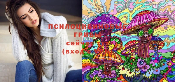 гидра Баксан