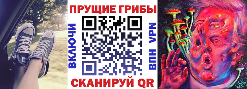 Купить  Облучье  Псилоцибиновые грибы Psilocybe 
